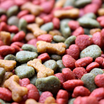 pet food